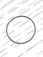 NORDBERG ЗАПЧАСТЬ УПЛОТНЕНИЯ СЕПАРАТОРА для NF12, NF22 nf12/nf22#ring