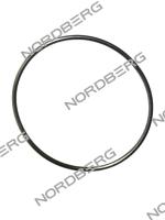 Прокладка (224) для NORDBERG 4638E1 3004701