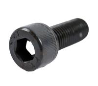 Винт M10X1.25X25 STD104 (сталь) 0202055 0202055