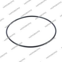 Прокладка (180*5) цилиндра отжимного для NORDBERG 4638E/4641 x001625 (200-308)