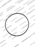 NORDBERG ЗАПЧАСТЬ УПЛОТНЕНИЯ СЕПАРАТОРА для NF12, NF22 nf12/nf22#ring