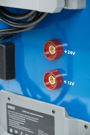 Пуско-зарядное интеллектуальное устройство 12/24 В, 250 A wsb450