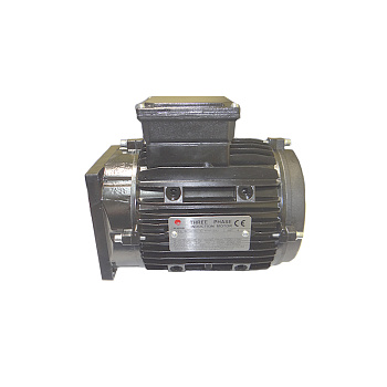 Мотор, BRIGHT, J101-1131000 197906