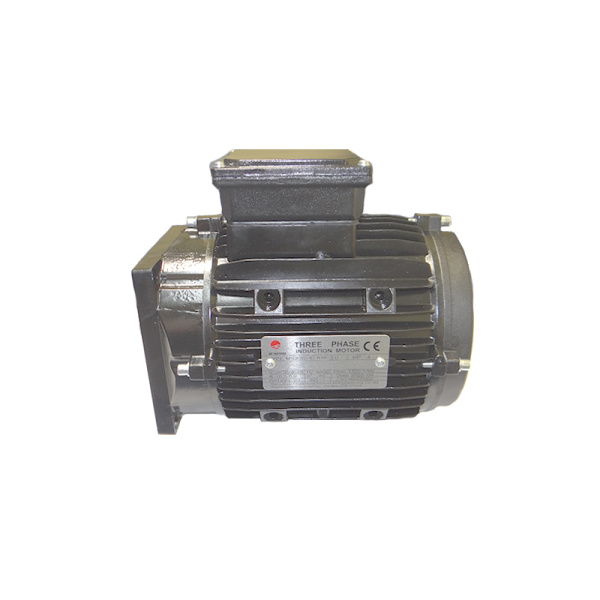 Мотор, BRIGHT, J101-1131000 197906