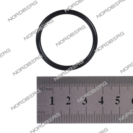 Прокладка (№13) RING 31.5X2.65 для NORDBERG46TRK 5000037 (gb3452·1-31·5?2·65-g)