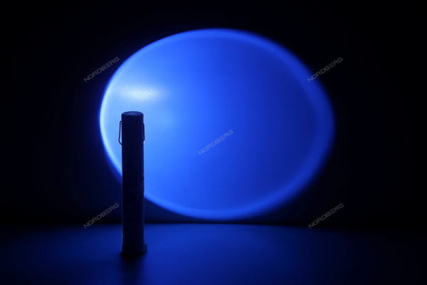 Фонарь светодиодный УФ, аккумуляторный, 3,6 В 1903