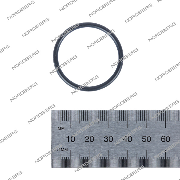 Прокладка (№13) RING 31.5X2.65 для NORDBERG46TRK 5000037 (gb3452·1-31·5?2·65-g)