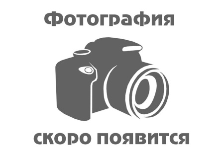 Пресс гаражный гидравлический на 50 тонн с ручным/ножным приводом SD0809CE sd0809ce