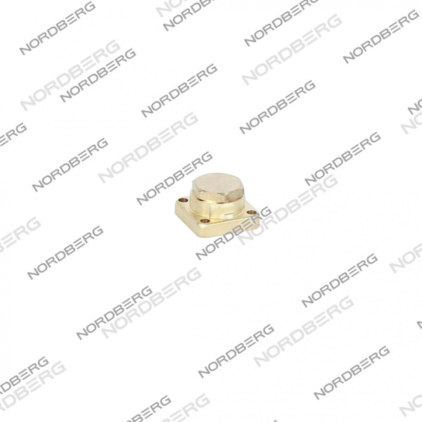 Клапан обратный для NF10E nf10e#ch-valve